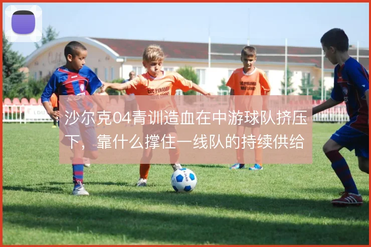 沙尔克04青训造血在中游球队挤压下，靠什么撑住一线队的持续供给