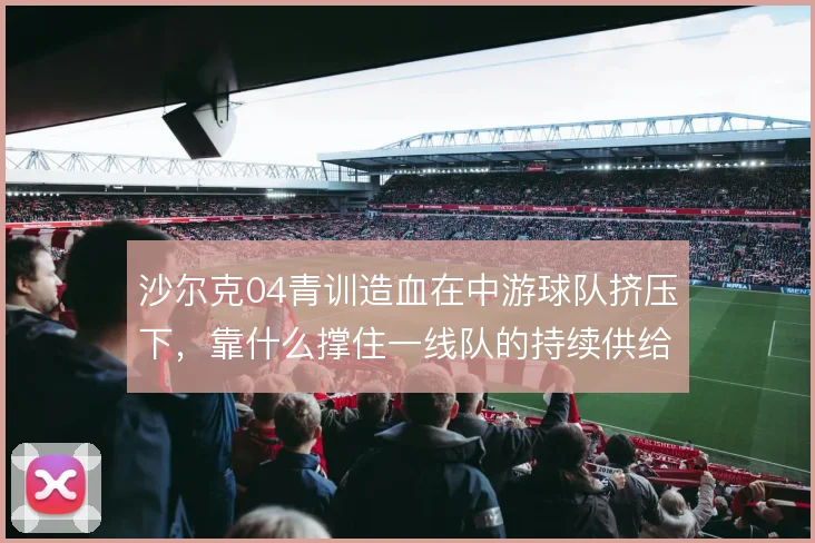 沙尔克04青训造血在中游球队挤压下，靠什么撑住一线队的持续供给