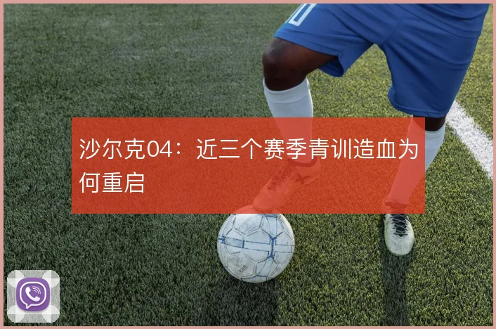沙尔克04：近三个赛季青训造血为何重启