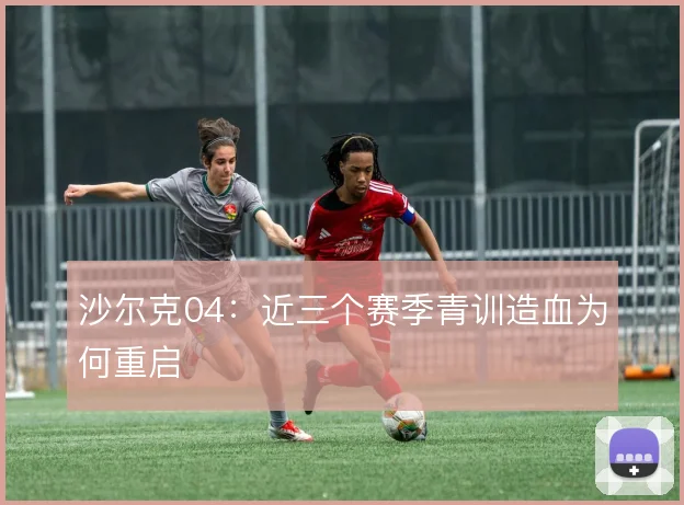 沙尔克04：近三个赛季青训造血为何重启