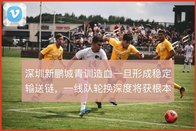 深圳新鹏城青训造血一旦形成稳定输送链,一线队轮换深度将获根本改善